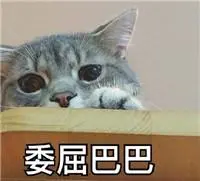 kartu halo mobile legend lemot main Liu Qibian selalu ingin tahu tentang kucing batu yang aneh